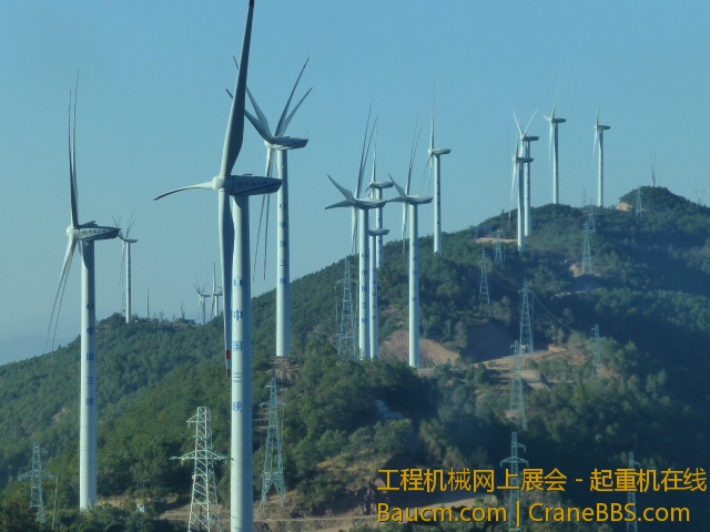 P1010345.JPG