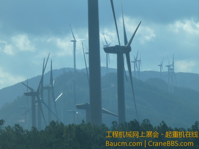P1010346.JPG