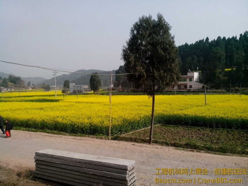IMG_20130307_151217.jpg