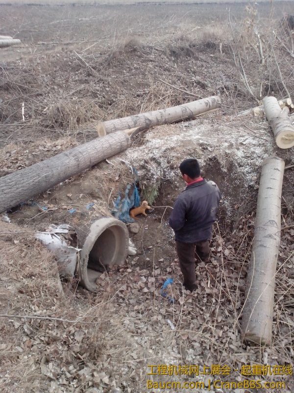 IMG_20130307_140754.jpg