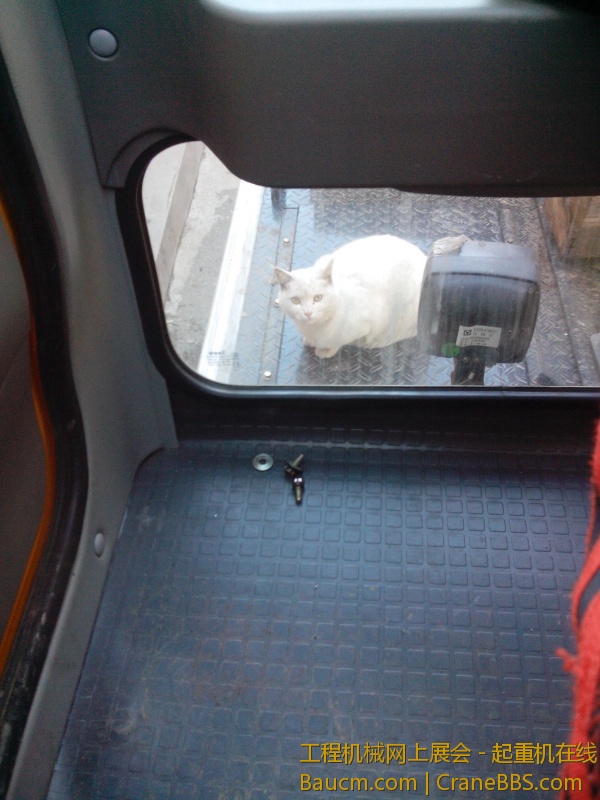 IMG20130304011.jpg