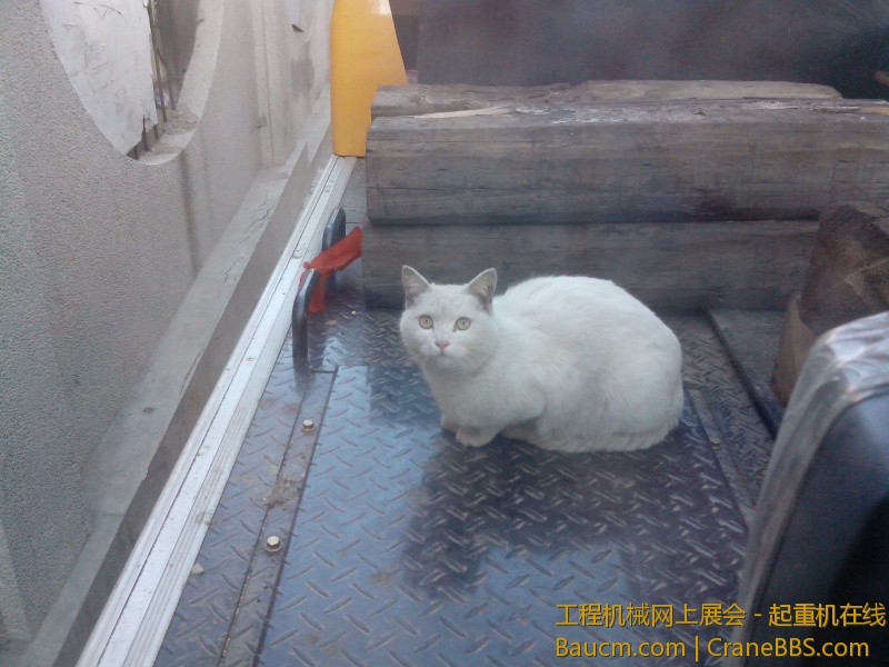 IMG20130304014.jpg
