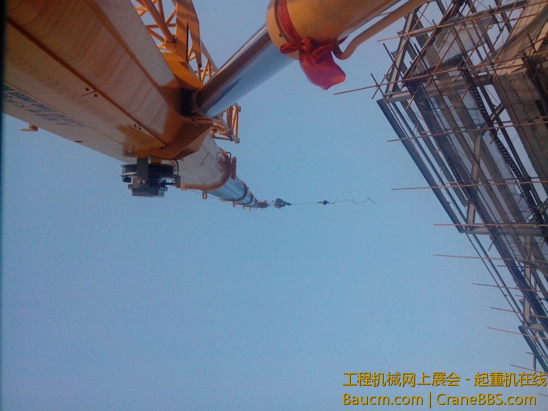 IMG20130308001.jpg