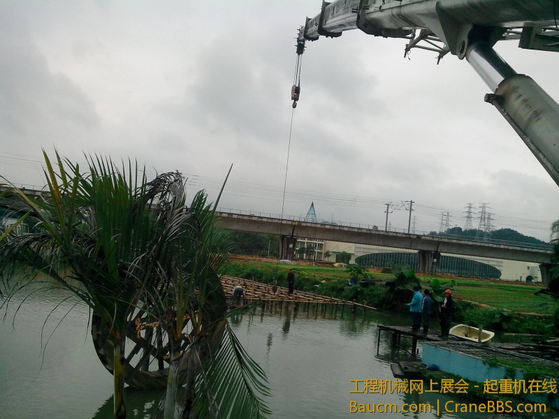 IMG_20121203_091859.jpg