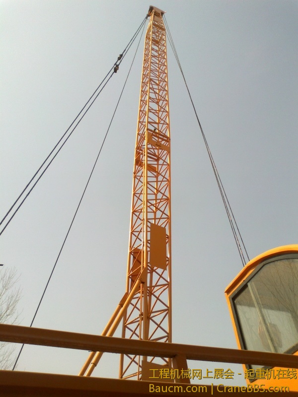 近距离,大臂来个特写!