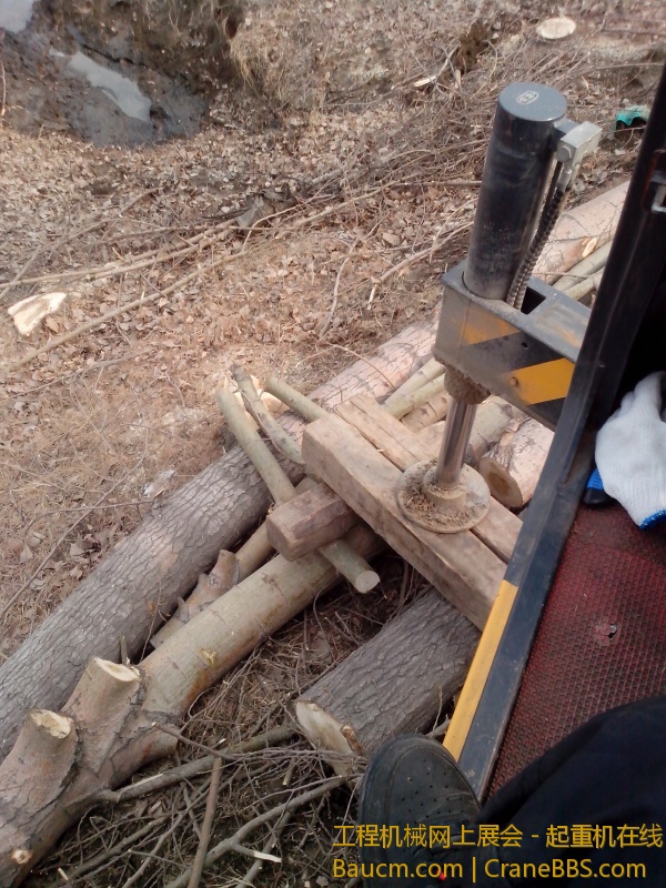 IMG_20130309_103526.jpg