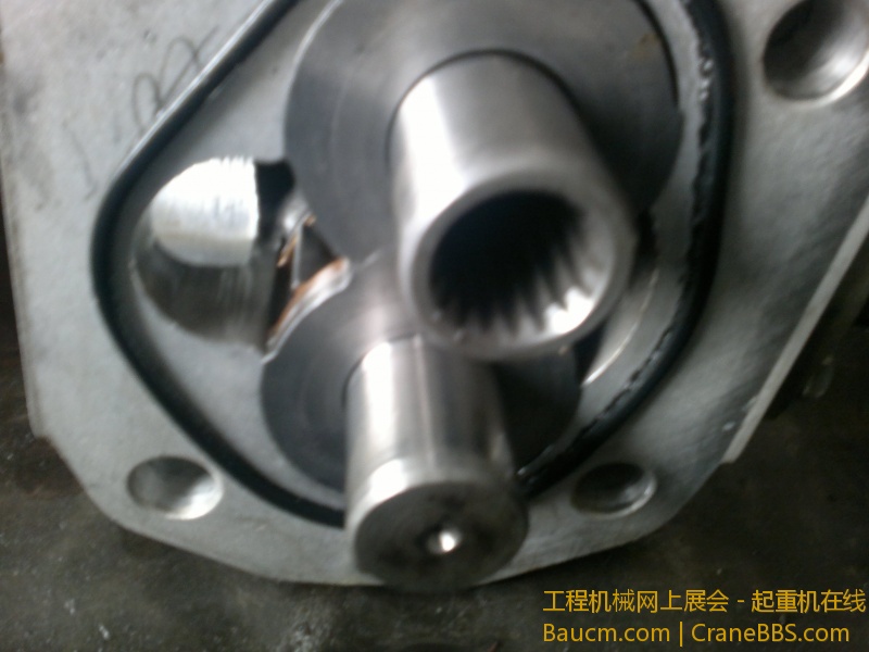 2013-03-11-045.jpg