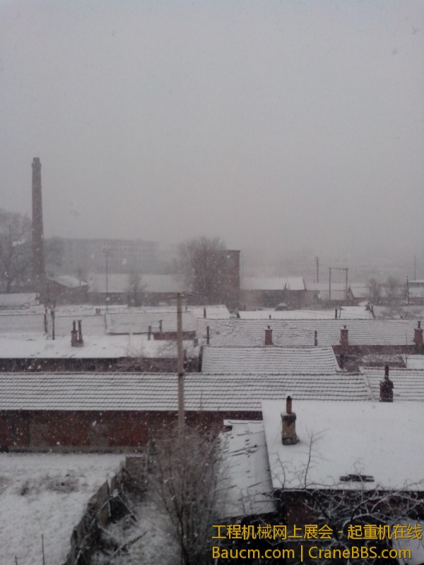 IMG_20130312_095713.jpg