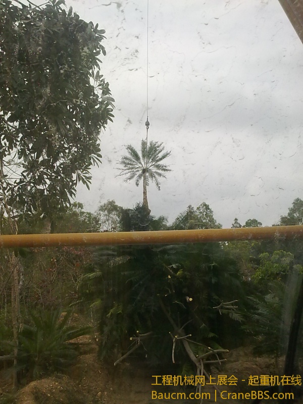 201303121131.jpg
