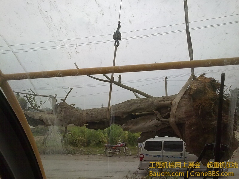 201303121127.jpg