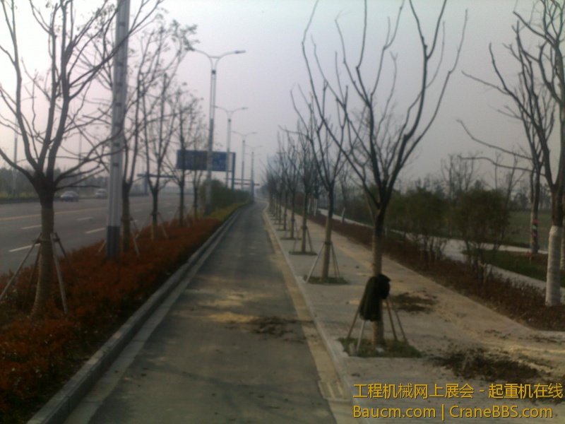 图像681.jpg