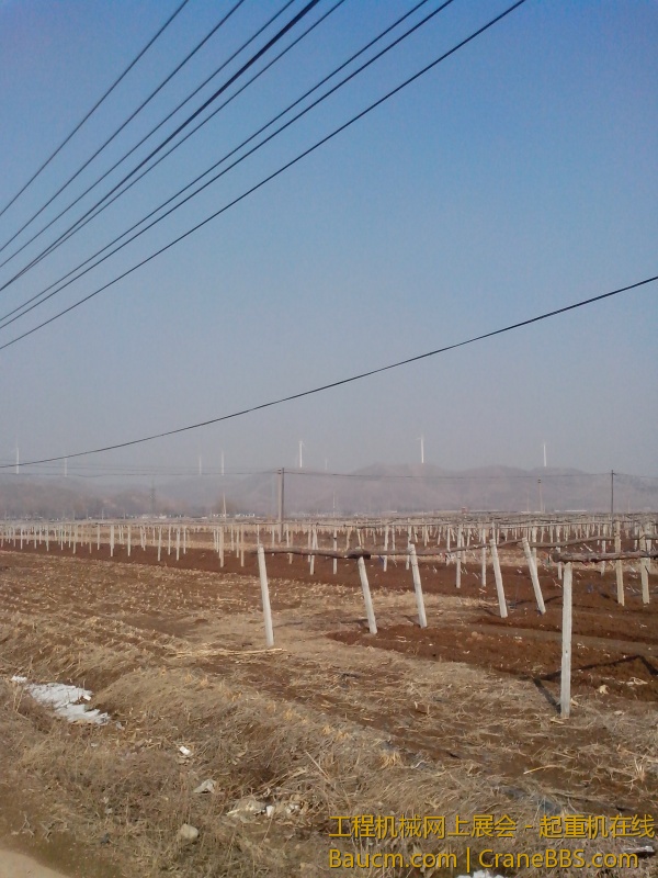 IMG_20130316_135131.jpg
