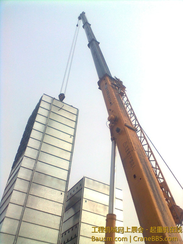 图像0816.jpg