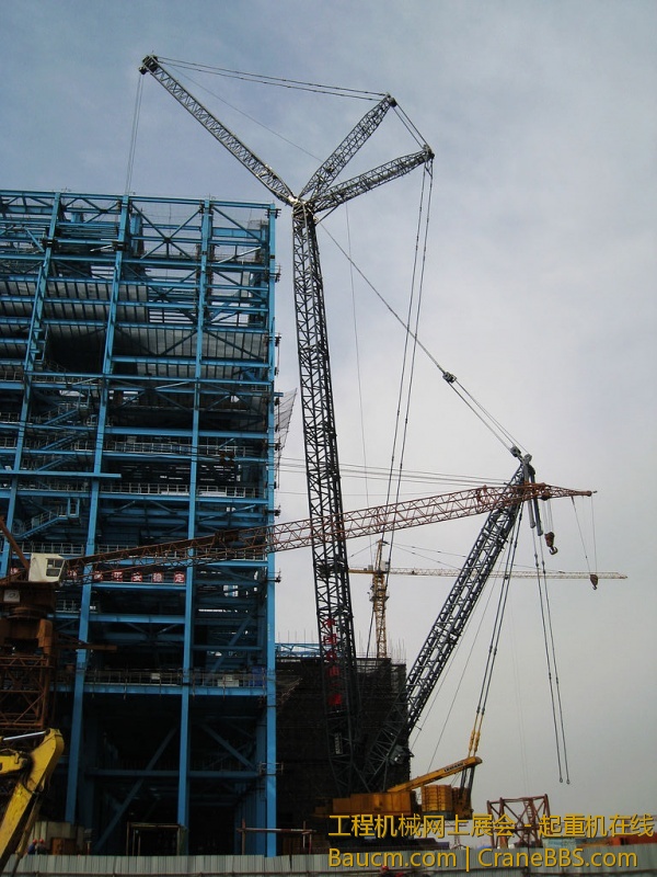 LR11250 (1).jpg