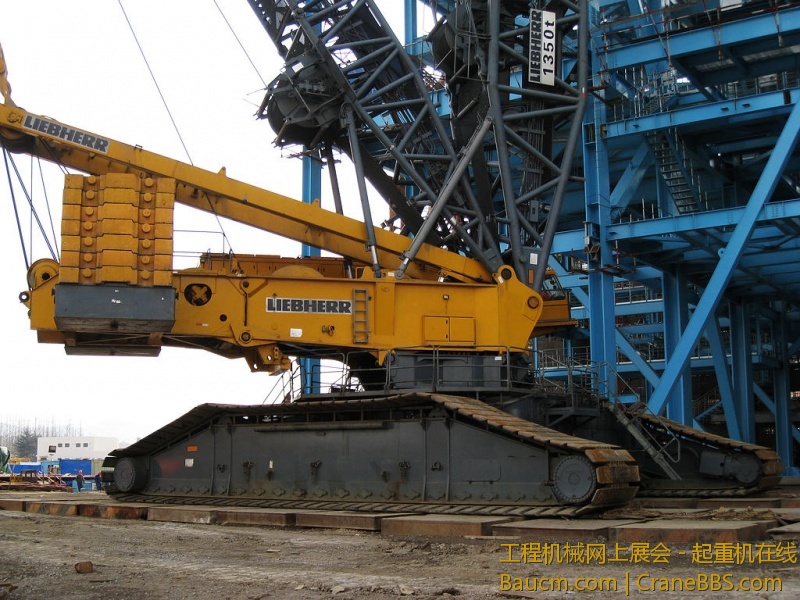 LR11250 (2).jpg