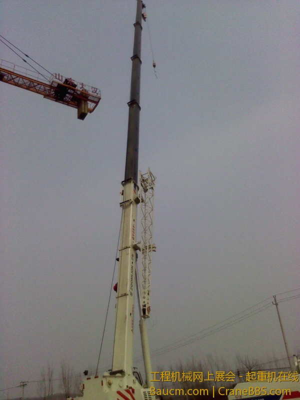 IMG_20130317_130248.jpg