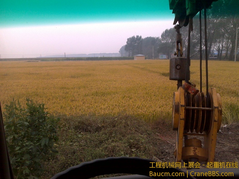 20101001076.jpg