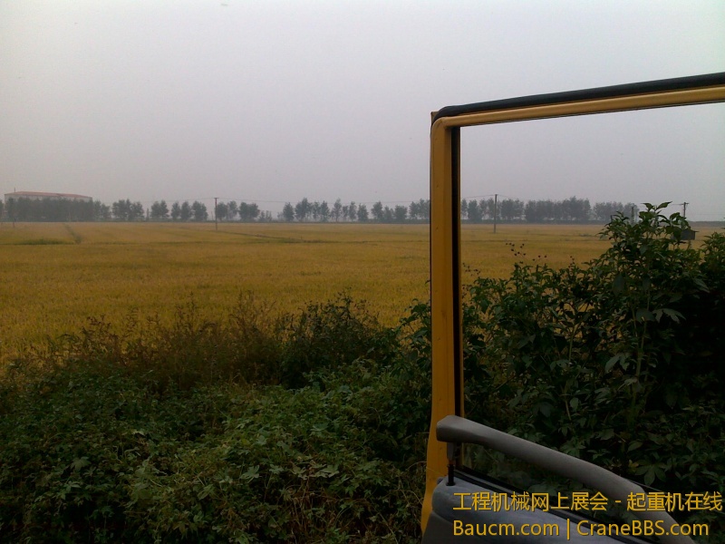20101001077.jpg