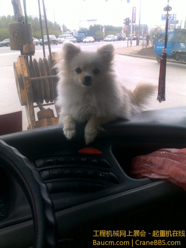 20110507214.jpg