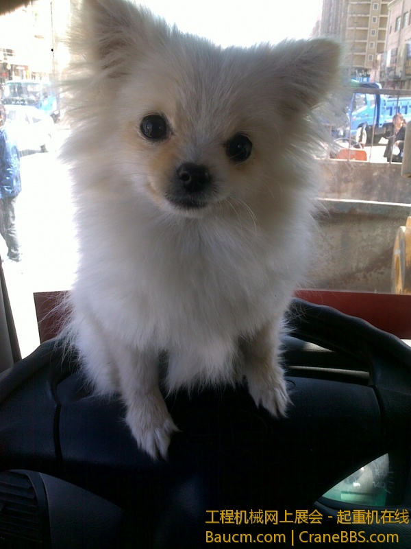 20110401188.jpg