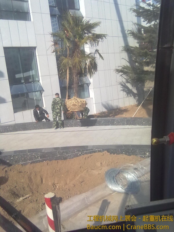 20130304159.jpg