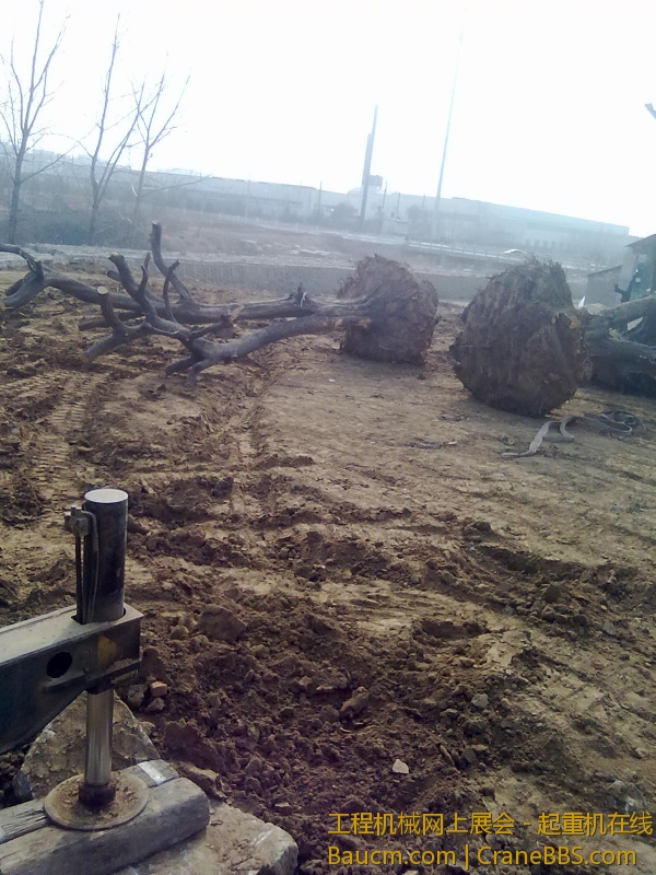20130316218.jpg