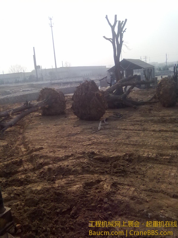 20130316219.jpg