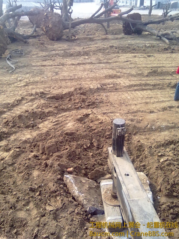 20130316221.jpg