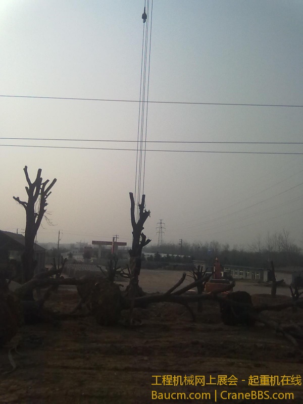 20130316222.jpg