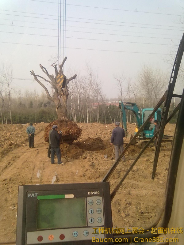 20130316216.jpg