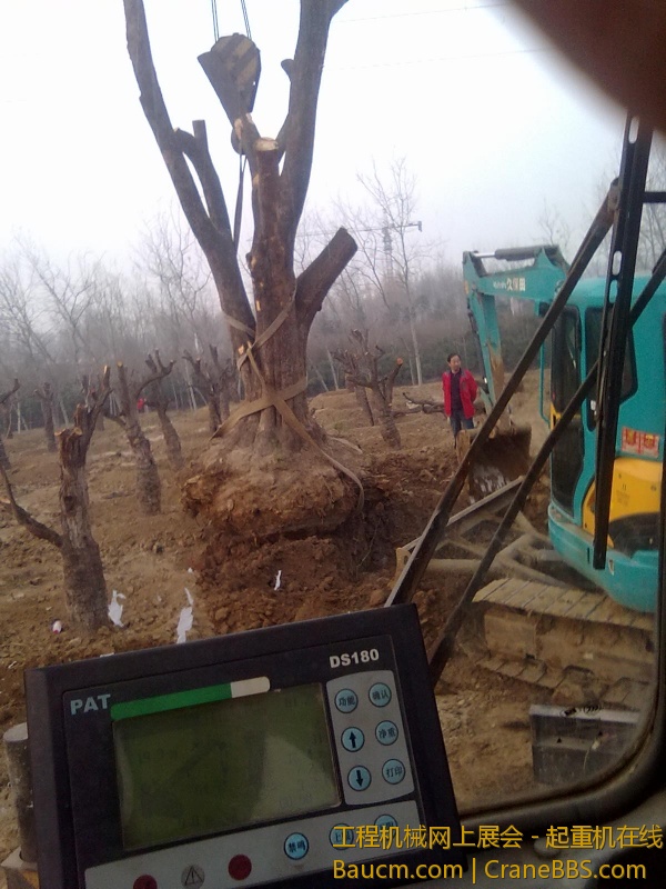 20130316229.jpg