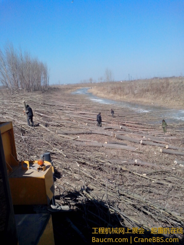 IMG_20130320_100537.jpg