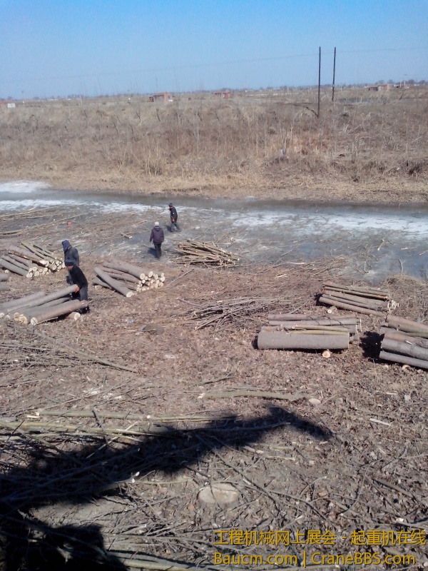 IMG_20130320_100542.jpg