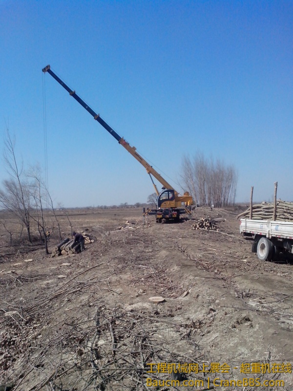 IMG_20130320_111138.jpg