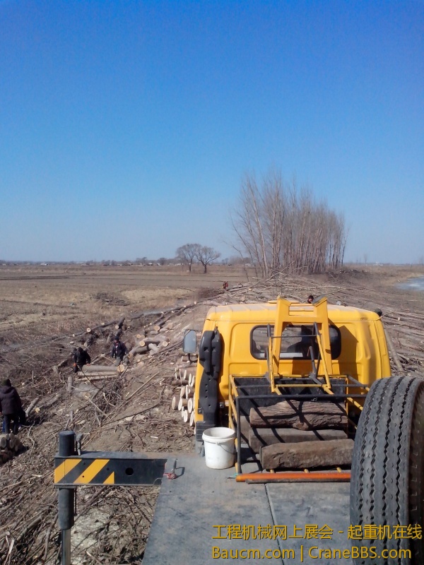 IMG_20130320_100559.jpg