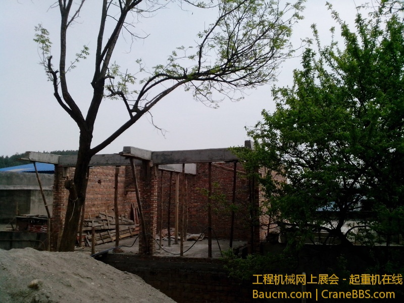 IMG_20130317_134017.jpg
