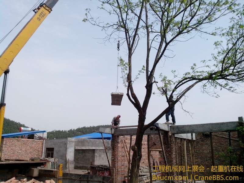 IMG_20130317_141155.jpg
