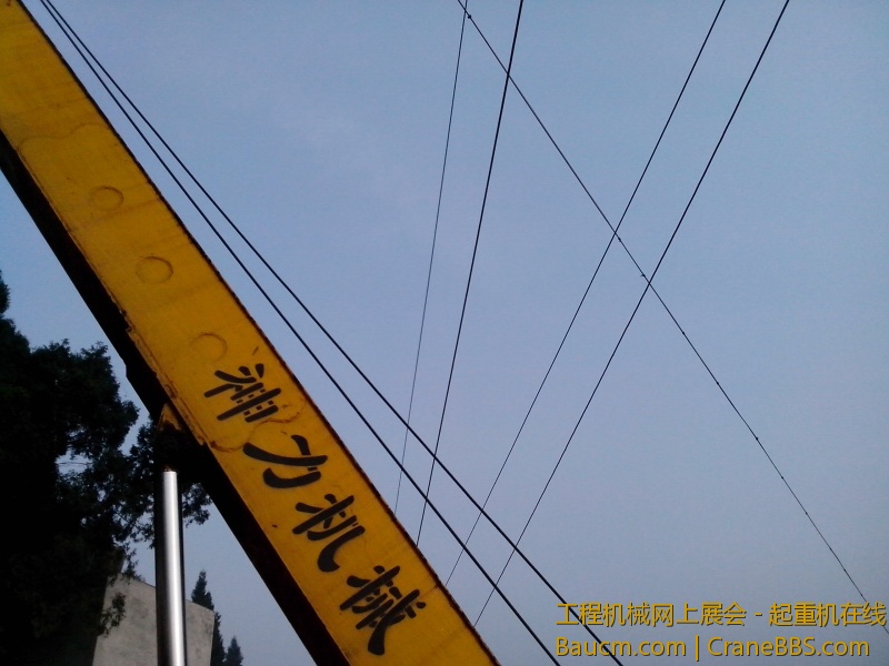 IMG_20130320_082602.jpg