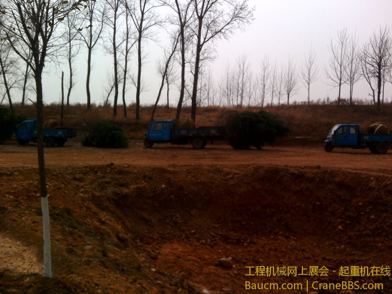 IMG_20130313_125417.jpg