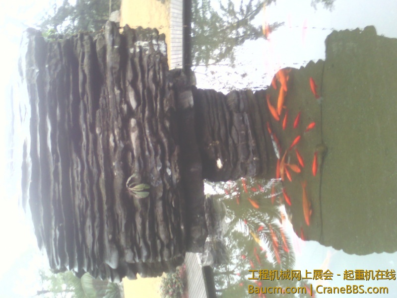 IMG_20130123_075954.jpg