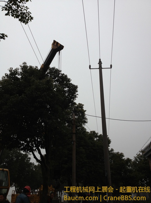 nEO_IMG_毛毛 297.jpg