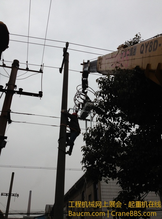 nEO_IMG_毛毛 298.jpg