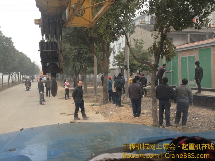 nEO_IMG_毛毛 384.jpg