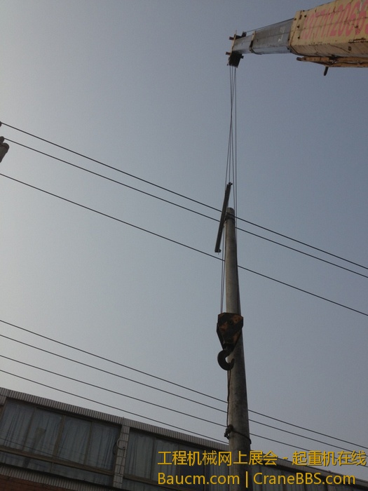 nEO_IMG_毛毛 407.jpg