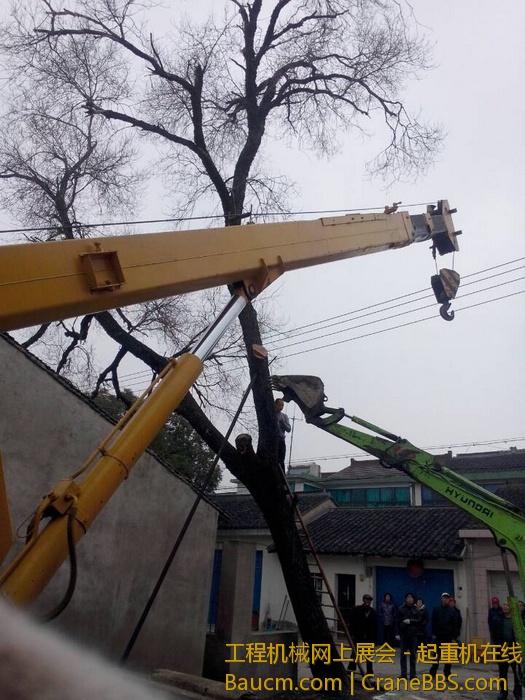 nEO_IMG_毛毛 284.jpg