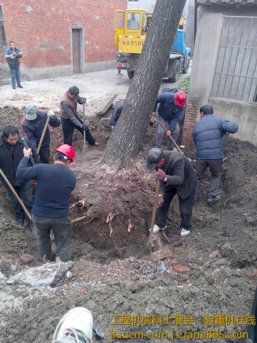 nEO_IMG_毛毛 285.jpg