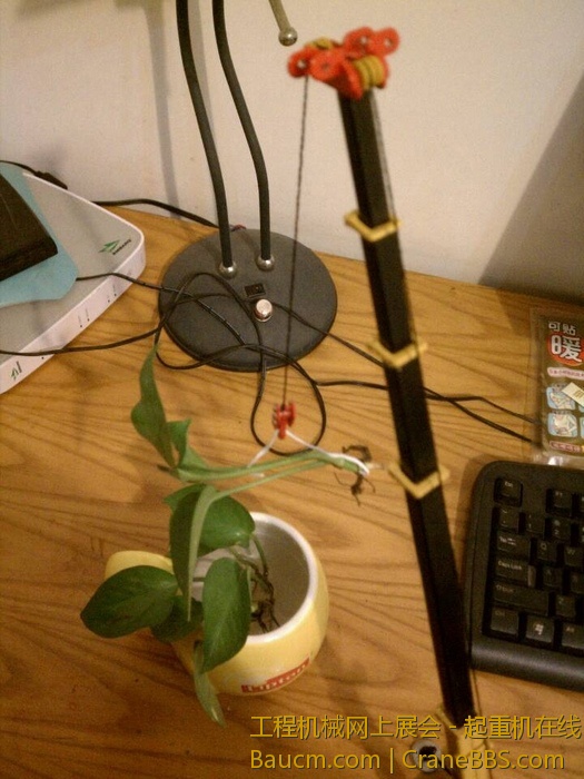 nEO_IMG_毛毛 422.jpg