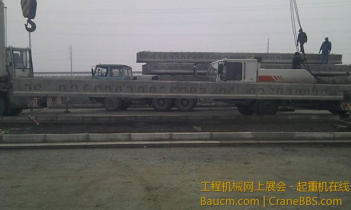 nEO_IMG_毛毛 310.jpg