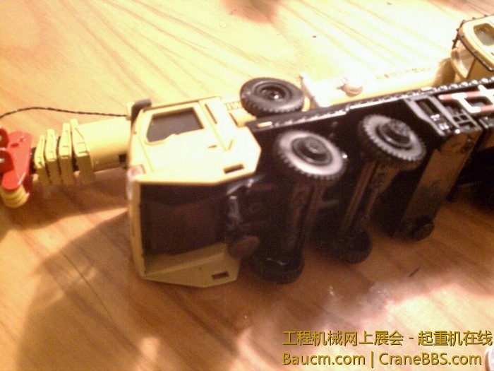 nEO_IMG_毛毛 432.jpg