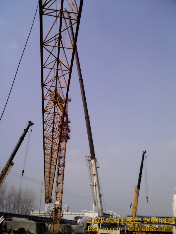 YP20130129143614.jpeg